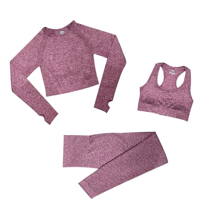 Women's Seamless Gym Leggings, Top, Longsleeve and Shorts Set